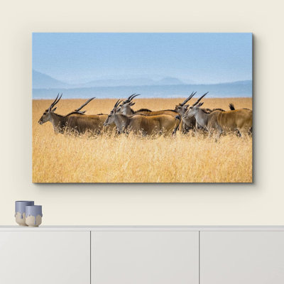 Wild Wild Safari Jungle Antelope Gazelle sur toile