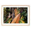 Old Surfboards - Picture Frame Photograph-943139578-942724243
