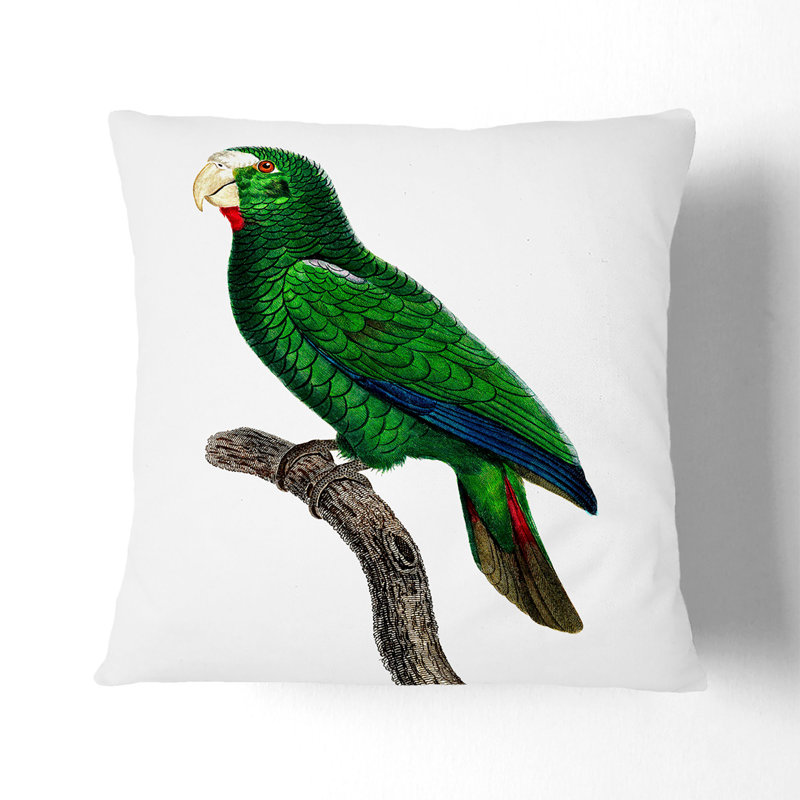 Square Cushion, 55cm H x 55cm W x 20cm D