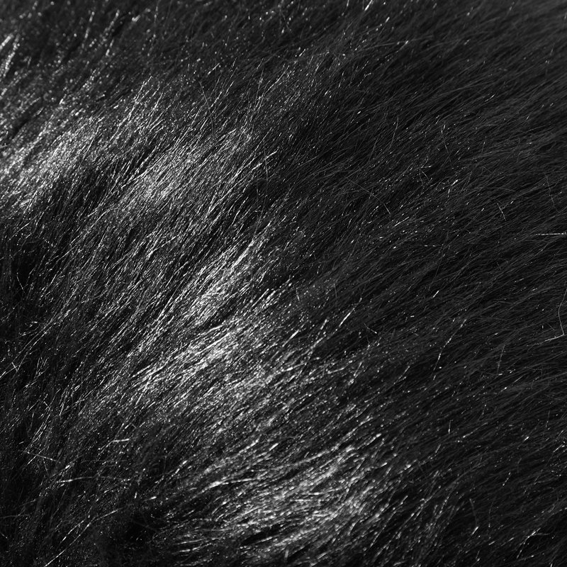 Coussin Flafia avec coussin, coussin décoratif moelleux, 16 po x 16 po, Noir