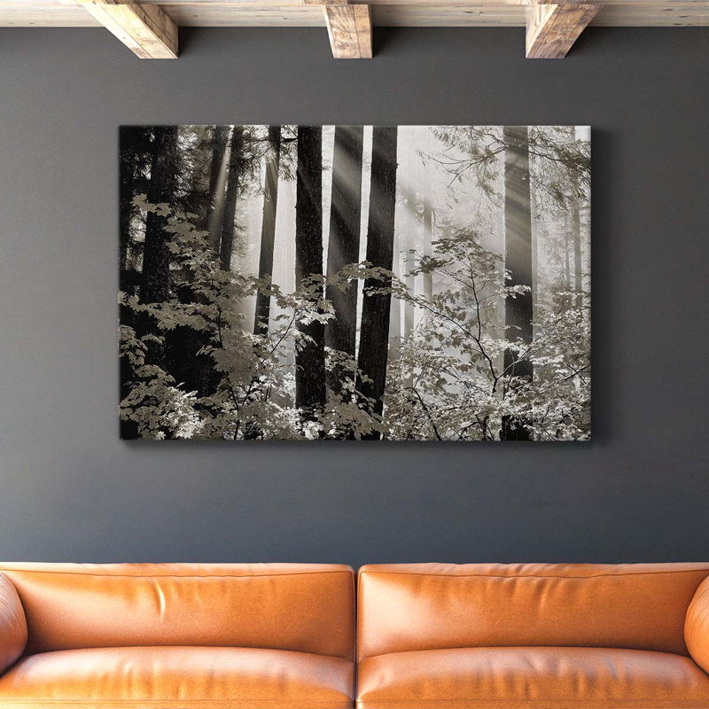 Misty Forest - Photographie sur toile tendue, H 16 po x l 27 po x P 1 po