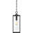 Westover 1-Light Earth Black Mini Pendant Light