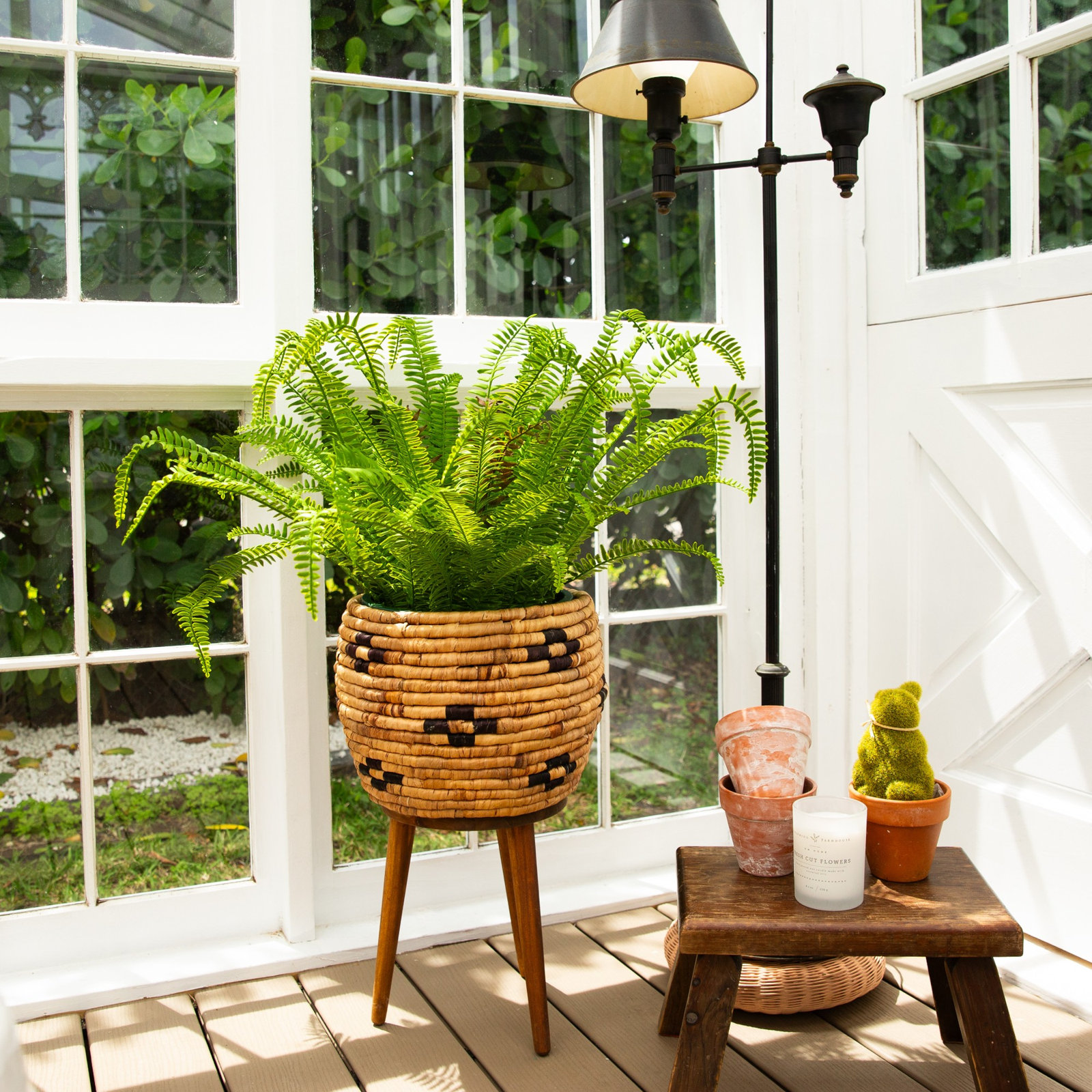 Boston Fern Plant in Nursery Pot, 27" H x 30" W x 30" D