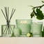 Cucumber & White Sage Reed Diffuser