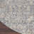 Oriental Indoor Rug-529142812