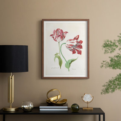 Two Tulips II Framed Print - Solid Wood