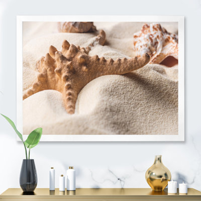 Étoile de mer et coquillage sur sable clair - photographie sur toile