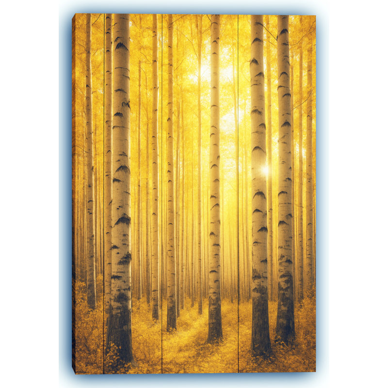 «Golden Birch Grove - Radiant Autumn», art mural sur toile, H 24 po x l 16 po
