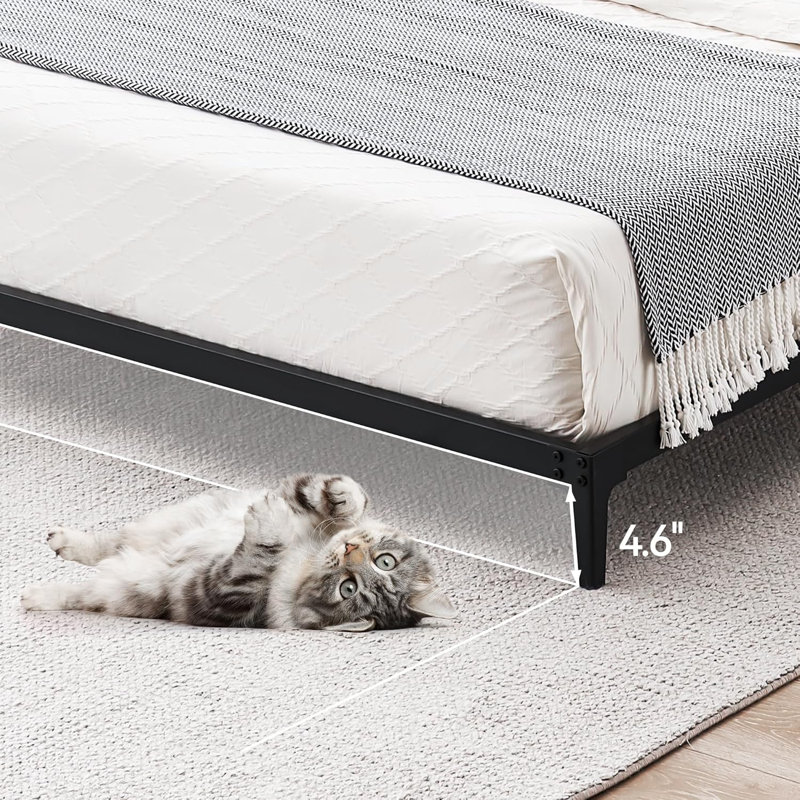 6 Inch Full Size Low Profile Heavy Duty Platform Bed Frame With Sturdy Steel Slat Mattress Foundation No Box Spring Needed Easy Assembly Noise Free