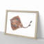 Brown Ray by Edward Donovan - Picture Frame Painting Print-55512779-55512783