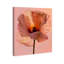Amber Radiance I Print by Oliver Gal-337204737-337204758