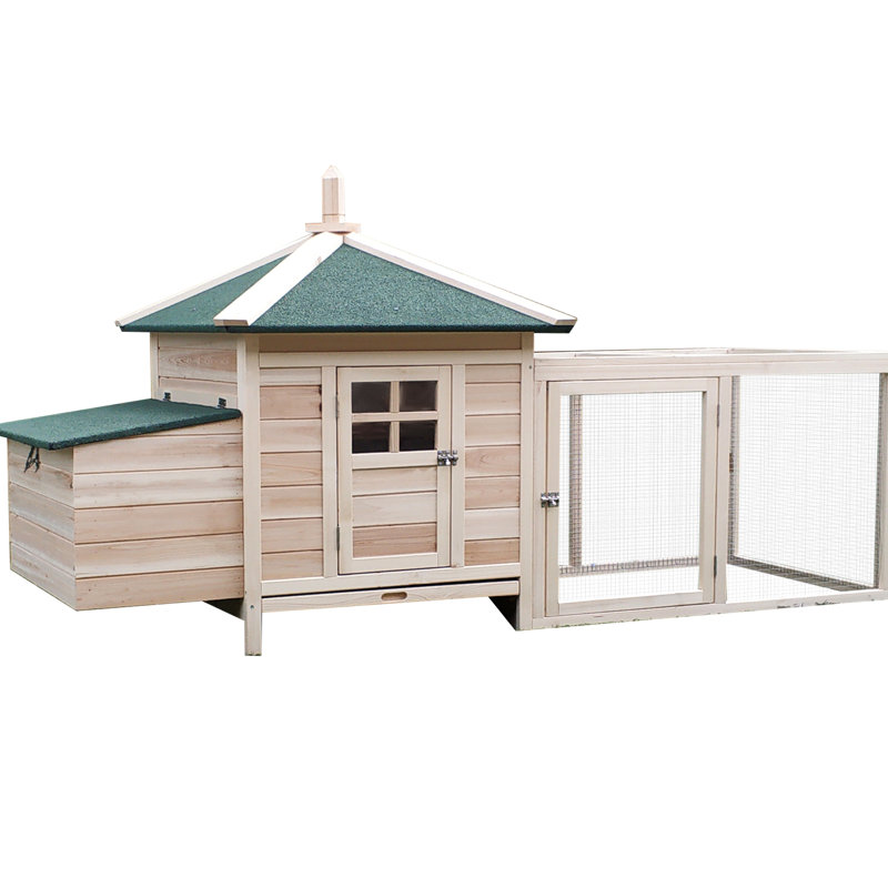 Poulailler d'extérieur 77 po avec nichoir - poulailler en bois pour la cour. Protection contre les intempéries, accès facile, rampe, bonne ventilation dans la cour. Propre, bien ventilé