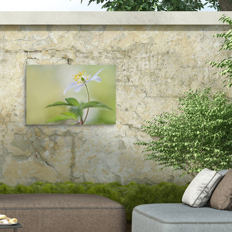 «Spring Light On Canvas» par Heidi Westum, reproduction, H 30 po x l 47 po
