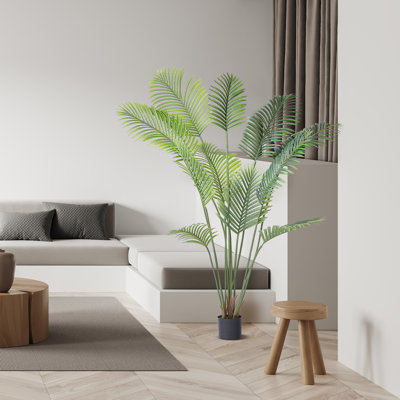 71.97'' Faux Palm Tree in Planter
