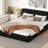 Queen Size Upholstered Platform Bed-1841140238