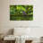 Brampt Mossy Tree Owl-108697616