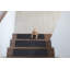 Tapis d'escalier beige Softy