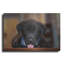 "Black Lab Pup 14" par Jonathan Ross-1499008009