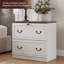 2 Lateral Filing Cabinet-131649690