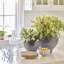 Vase de table Paola Dusk-44429960