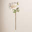 DAHLIA STEM 28"-877213560