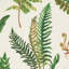 Les Fougeres Fabric-35102828