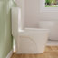 Toilette allongée moderne monobloc Ace 1,6 GPF-88234900-111041676