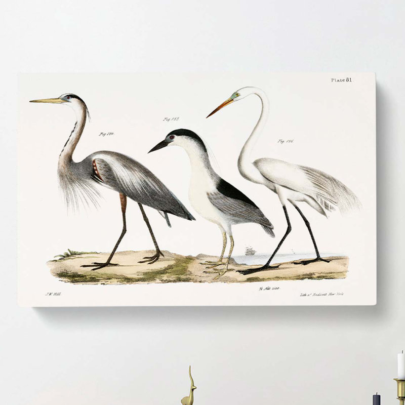 Three Herons by J.E. De Kay - Wrapped Canvas, 40cm H x 60cm W x 3cm D