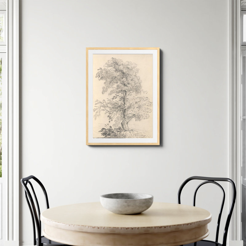 «Tree Sketch» par Wild Apple, Oui, H 32 po x l 24 po, Papier avec cadre photo en érable