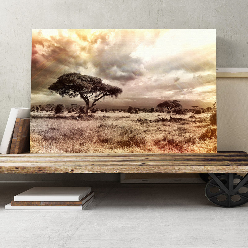 Landscape Africa Savannah Photographic - Wrapped Canvas, 40cm H x 60cm W