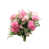 Rose est en rupture de stock