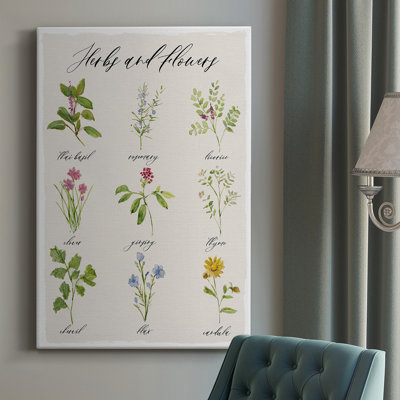 " Herbs And Flowers "