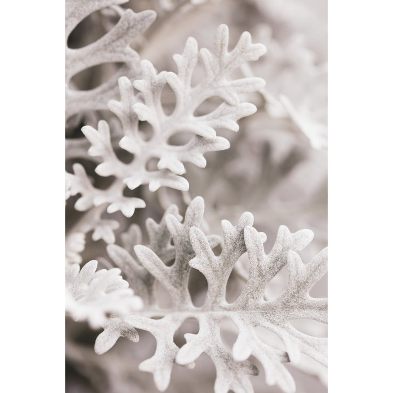 Leaves, 50.8cm H x 76.2cm W