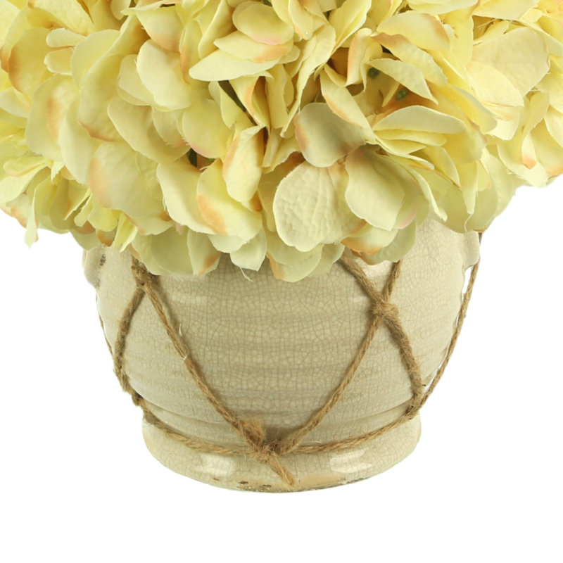 Hydrangea Arrangement in Vase