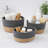 Padang 3-Piece Cotton Basket Bin-89934466