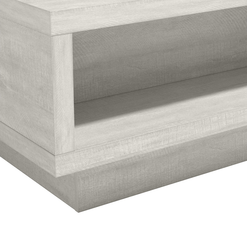 Caomhan Pedestal Coffee Table with Storage