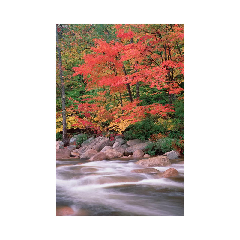 Autumn Along Swift River, White Mountains National Forest, New Hampshire - Vertical by Tim Fitzharris - Gallery-Wrapped Canvas Giclée on Canvas