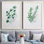 Freshly Picked I - Ensemble de 2 peintures sur toile encadrées-1667209257-1667209259