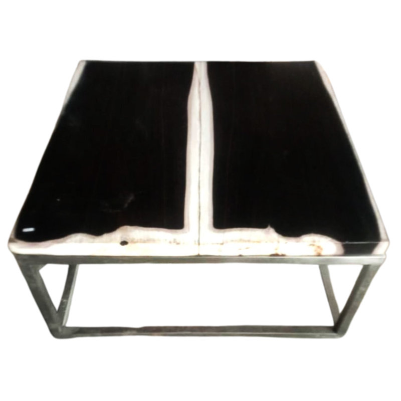 Petrified Wood Coffee Table, 16" H x 31" L x 31" W