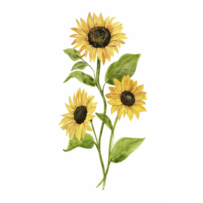 Sunflower Trio II by Annie Warren - Wrapped Canvas Painting, 30cm H x 20cm W