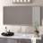 Gerhart Leaning Mirror-36432129