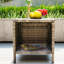 Nagey 2 - Person Patio Conversation Sets with Cushions-1591535340