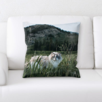Coussin pour chat