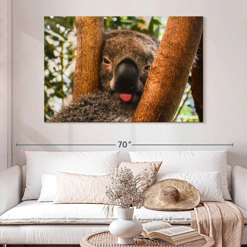 Brampt Funny Koala, 34" H x 51" W