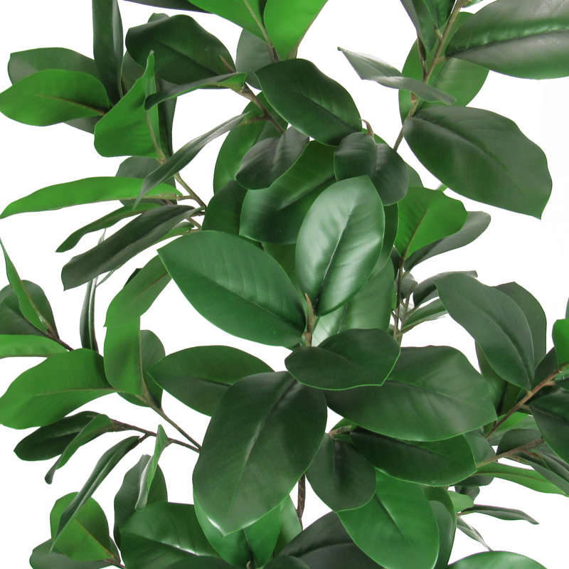 Arbre à feuilles de magnolia artificiel en pot, H 60 po x l 30 po x P 30 po