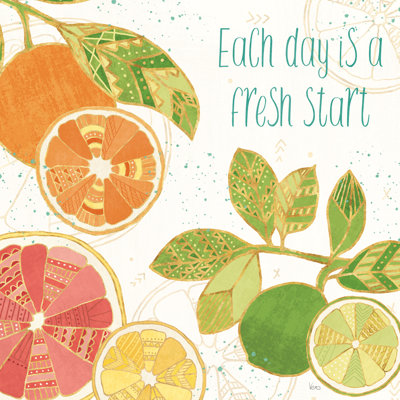 Citrus Splash IV by Veronique Charron - Wrapped Canvas Print
