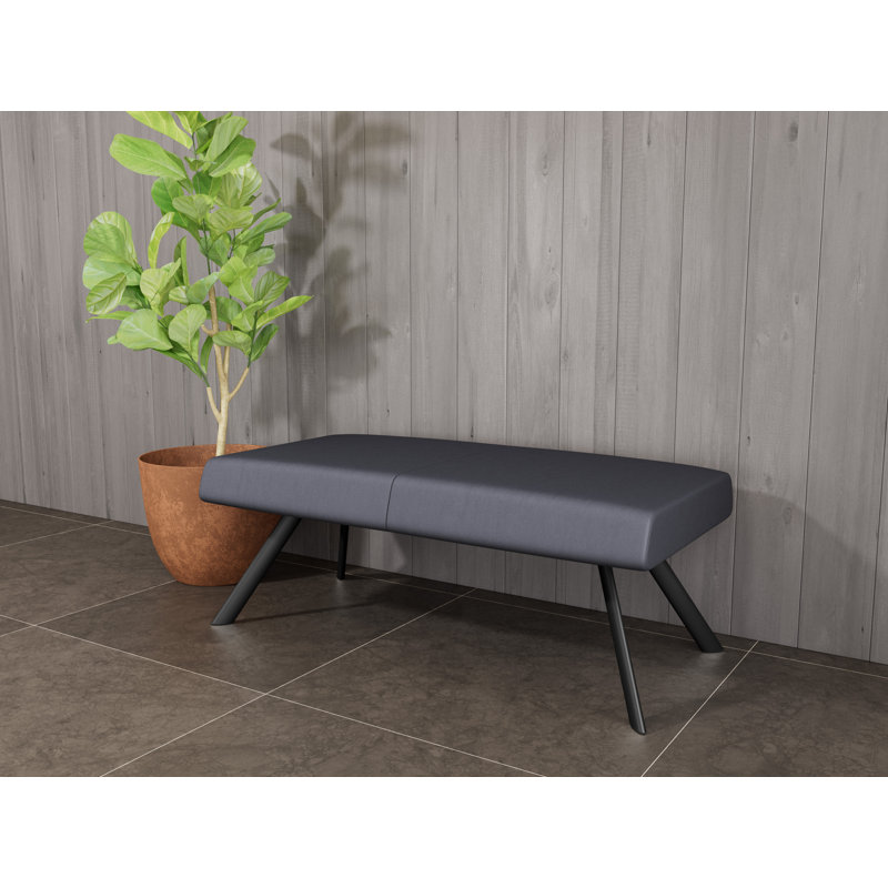 Banc de réception Willow, Noir, Noir Patriot Plus - nettoyez le vinyle avec un lin