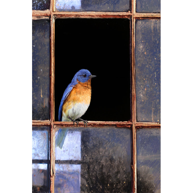 Fenêtre Bluebird, H 18 po x l 12 po x P 1,25 po