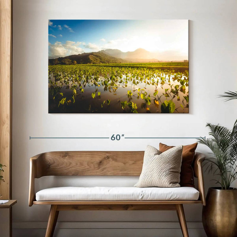 Alvord Taro Farm, 32" H x 48" W