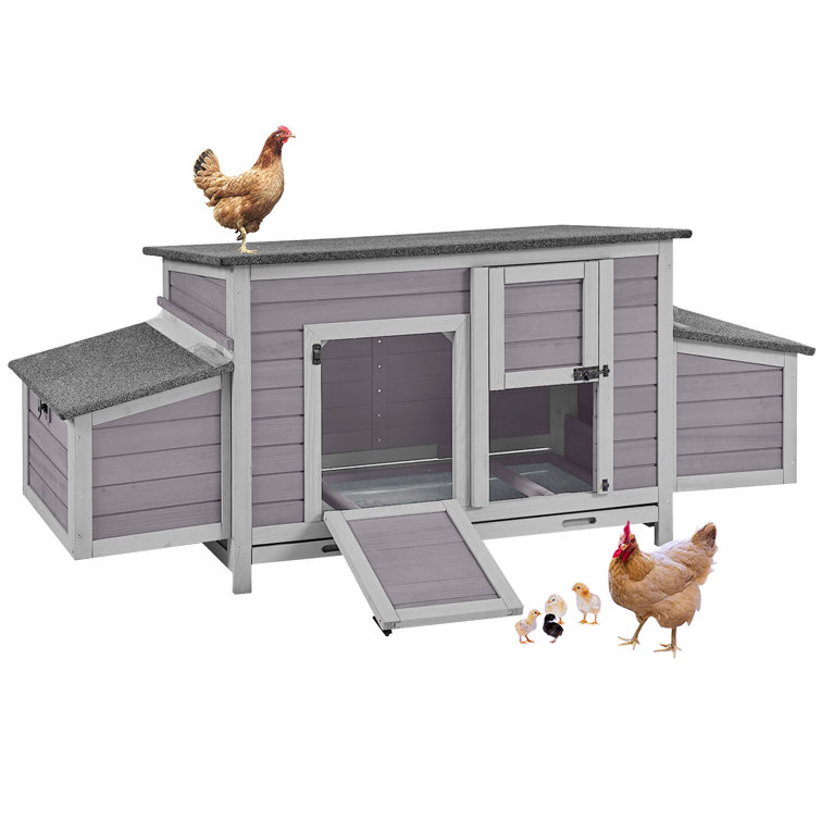 Cyani 11.2 Square Feet Chicken Coop with Roosting Bar For Up To 2 Chickens
